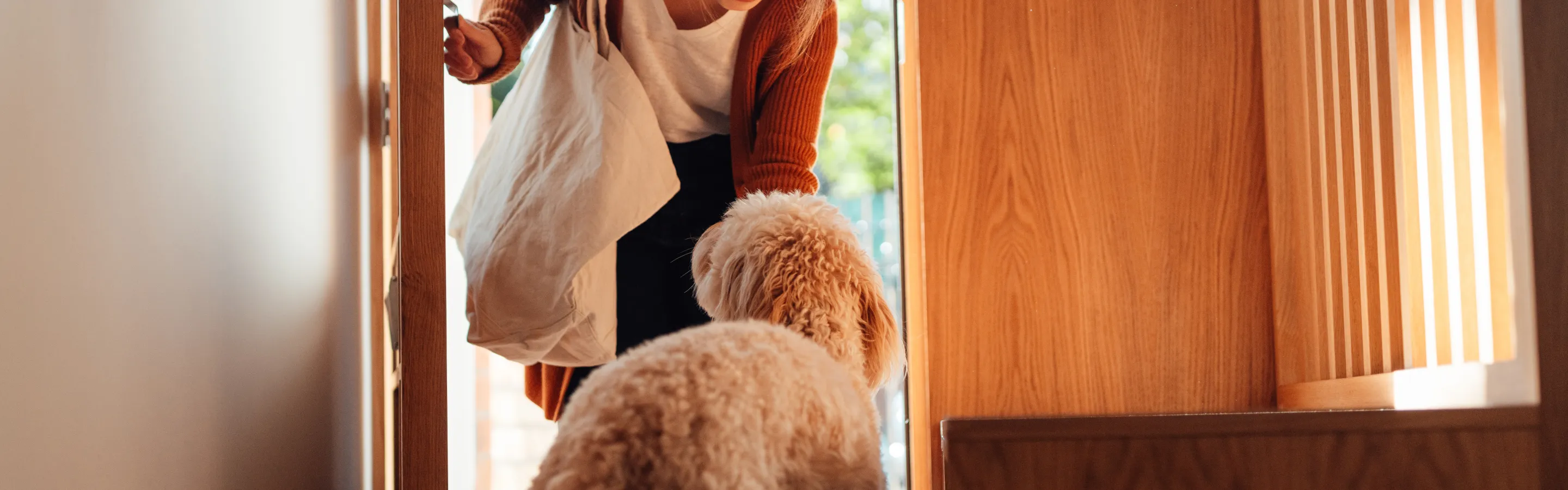 Coming home to your dog