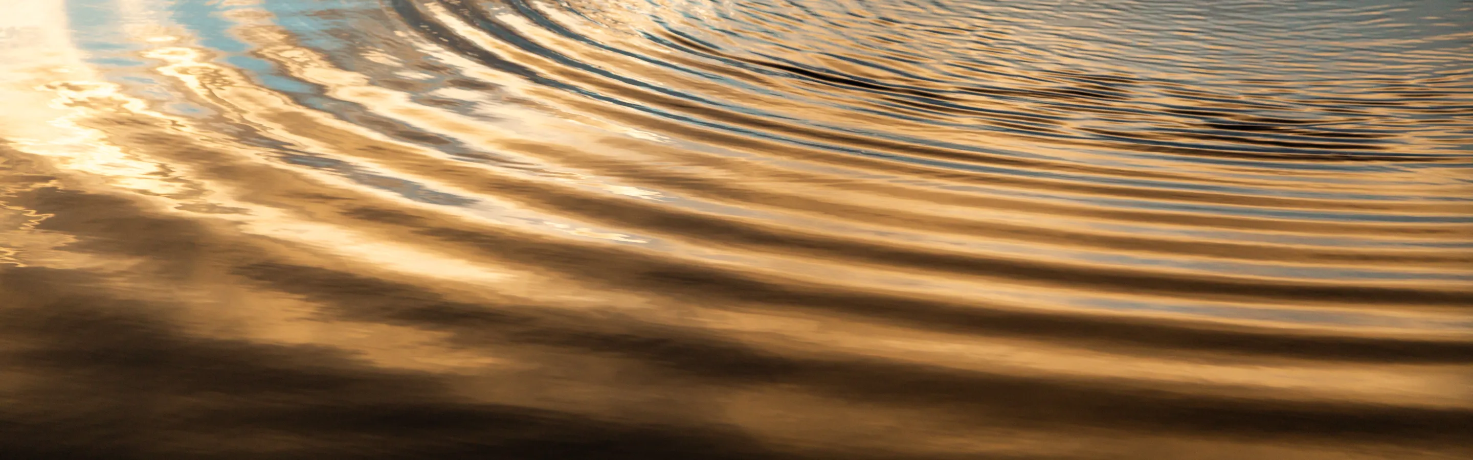 ripple-on-water-ironbark-advice