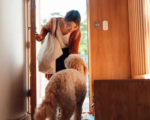 Coming home to your dog