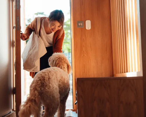 Coming home to your dog