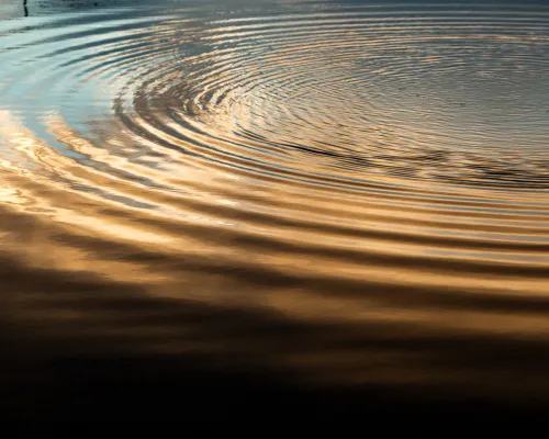 ripple-on-water-ironbark-advice