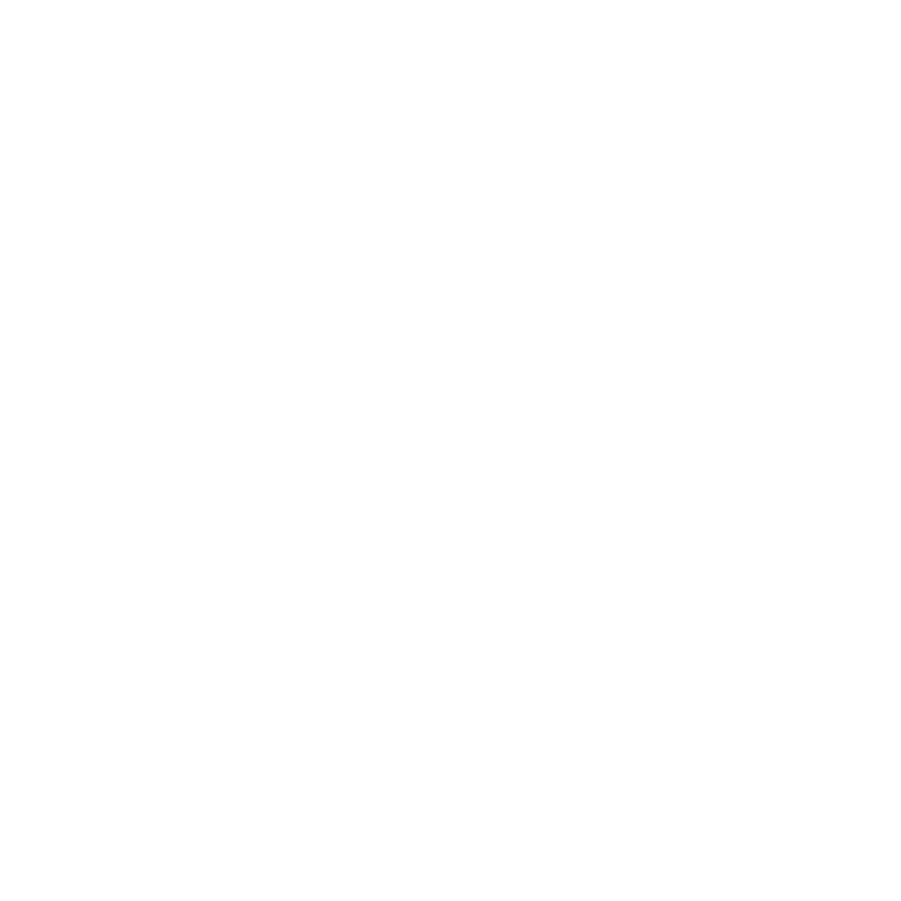 Home icon